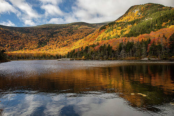 Wall Art featuring the photograph Beaver Pond New Hampshire In Fall by Dan Sproul