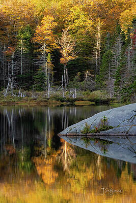 Autumn Reflections in Tranquil Lake Photograph