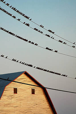 Wall Art featuring the photograph Bedtime In Quebec, Canada by Tatiana Travelways