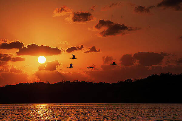 Natural Photograph - Bedtime In The Caribbean by Tatiana Travelways