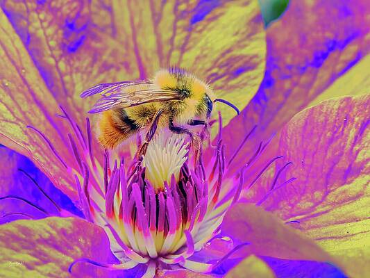 Bee on Vibrant Flower Wall Art