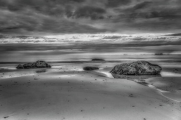 Wall Art featuring the photograph Before The Rain by Penny Polakoff