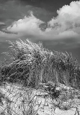 Wall Art featuring the photograph Before The Storm by Steven Nelson