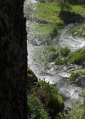Colorado Wall Art featuring the photograph Behind Rifle Falls 4 by Amanda R Wright