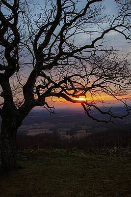 Wall Art featuring the photograph Behind The Winter Trees by Deb Beausoleil