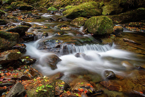 Fall Wall Art featuring the photograph Below Torc IV by Mark Callanan