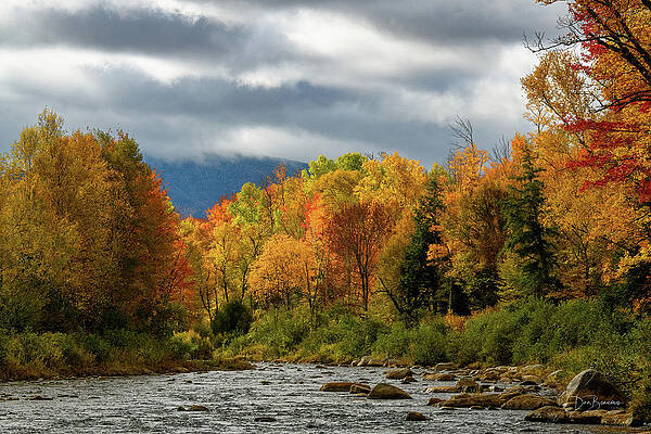 Fall Wall Art featuring the photograph Bend In The Ammonoosuc #3423 by Dan Beauvais