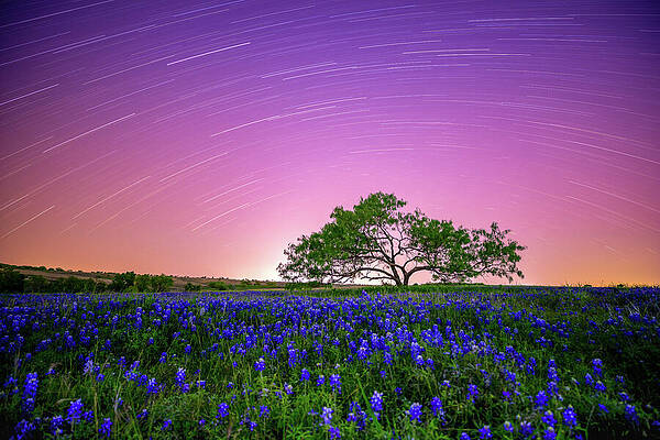 Sky Photograph - Beneath A Texas Sky by KC Hulsman