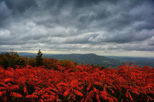 Bennington In View In Autumn Print