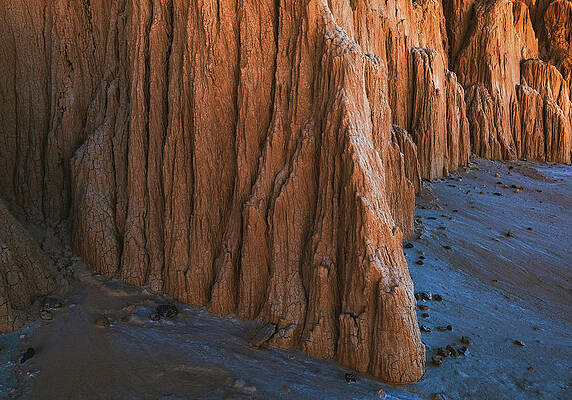 Park Photograph - Bentonite Feet Closeup, Cathedral Gorge, Nevada by Abbie Warnock
