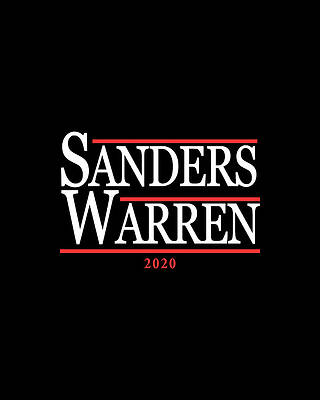 Cool Wall Art featuring the digital art Bernie Sanders Elizabeth Warren 2020 by Flippin Sweet Gear