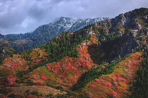 Landscape Photograph - Between Seasons - Wasatch Mountains #3 by Abbie Warnock