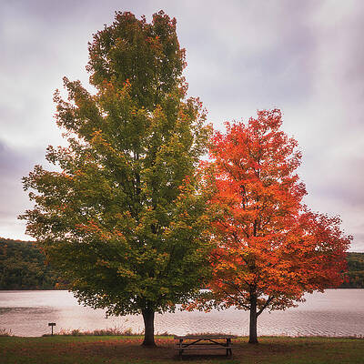 Pennsylvania Wall Art featuring the photograph Big And Small In The Fall by Jason Fink