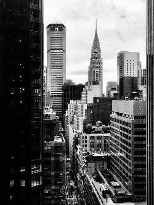 Photograph - Big Apple by Canessa Thomas