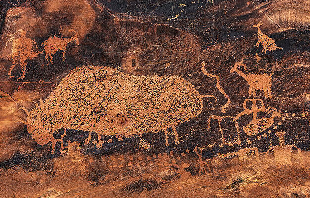 Alien Photograph - Big Buffalo Close Up, Utah by Abbie Warnock