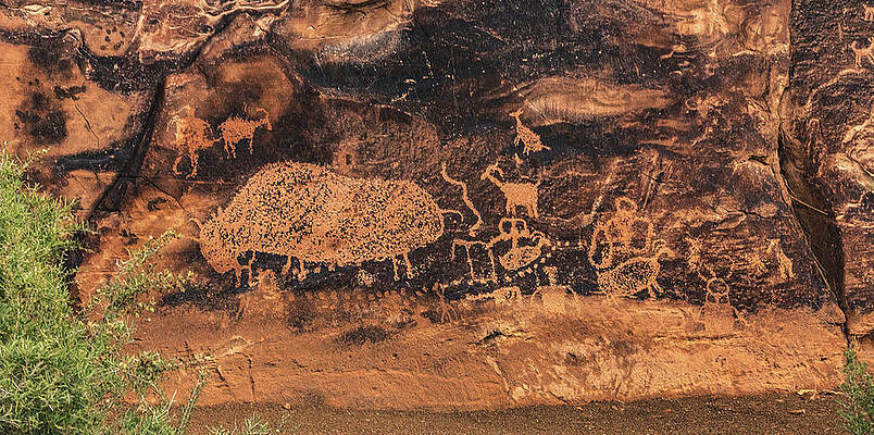 Alien Photograph - Big Buffalo Panel, Utah by Abbie Warnock