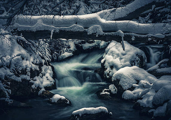 Moody Photograph - Big Cottonwood Creek And Snow - Utah by Abbie Warnock