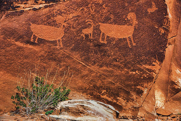 Alien Photograph - Big Horned Sheep Petroglyphs by Abbie Warnock