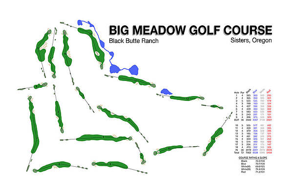 Golf Wall Art featuring the digital art Big Meadow Golf Course by Flop Shot Studio