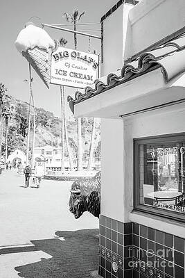 Wall Art featuring the photograph Big Olaf's Catalina Island Black And White Photo by Paul Velgos