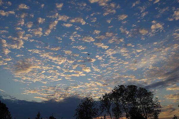 Sky Photograph - Big Sky by Murray Croft