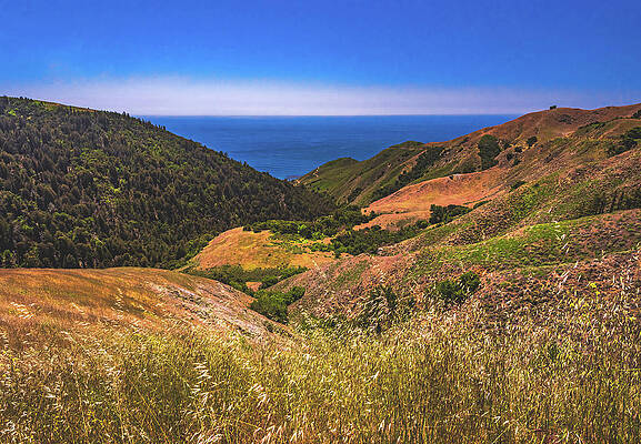 California Photograph - Big Sur Hillsides - California by Abbie Warnock