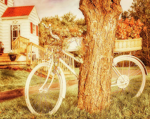 Wall Art featuring the photograph Bike With Flowers - Vintage Style by Tatiana Travelways