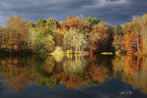Wall Art featuring the photograph Biltmore Autumn by Jeffrey Kolker