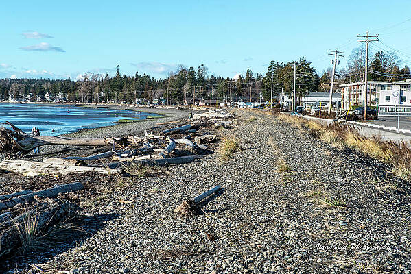 Beach Photograph - Birch Bay Beach With Driftwood by Tom Cochran