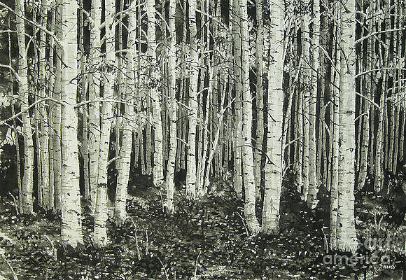 Nature Wall Art for Sale by Bill and Jeff Haney