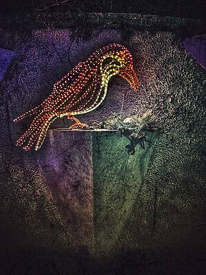 Wall Art featuring the photograph Bird And Nest At River Of Lights Albuquerque Botanic Garden by Mary Lee Dereske