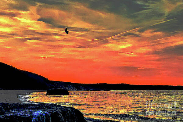 Wall Art featuring the photograph Bird Of Orange Skies by Eileen Kelly
