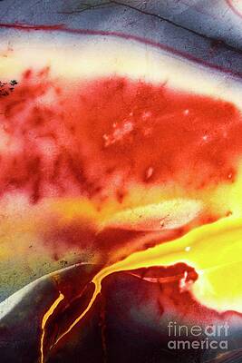 Abstract Photograph - Bird Of Paradise by Eric Kyle