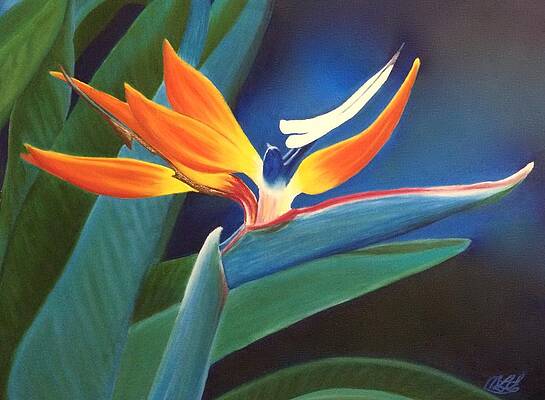 Blue Painting - Bird Of Paradise by Marlene Little