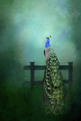 Bird Of Paradise Print