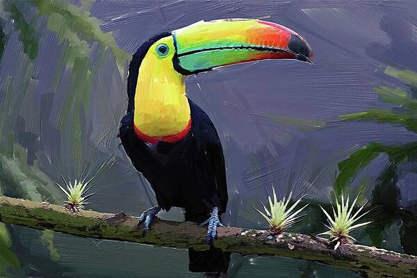 Wildlife Digital Art - Bird Painting Of Tropical Toucan by Nature Oil Painting