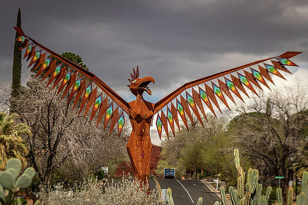 Sky Wall Art featuring the photograph Bird Woman Sculpture_0932 by Mark Triplett