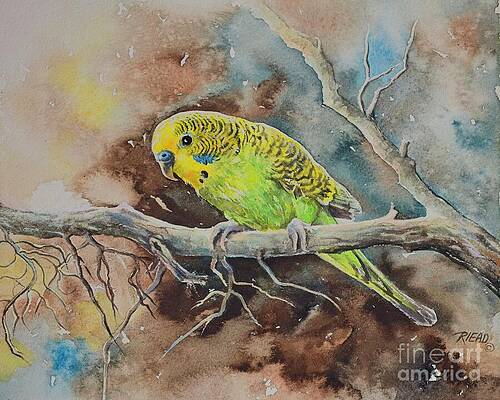 Birdie by Sybil Riead