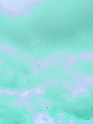 Birds in Pastel Sky Photograph