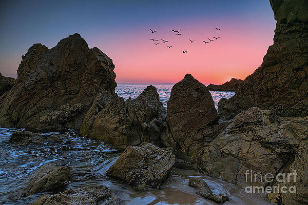 Cloud Photograph - Birds Of A Feather Pink Sunset by Abigail Diane Photography