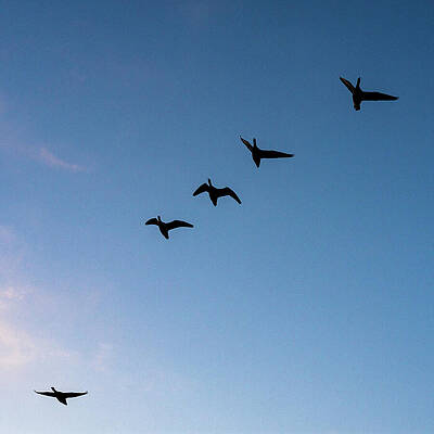 Sky Wall Art featuring the photograph Echoes by Rich Kovach