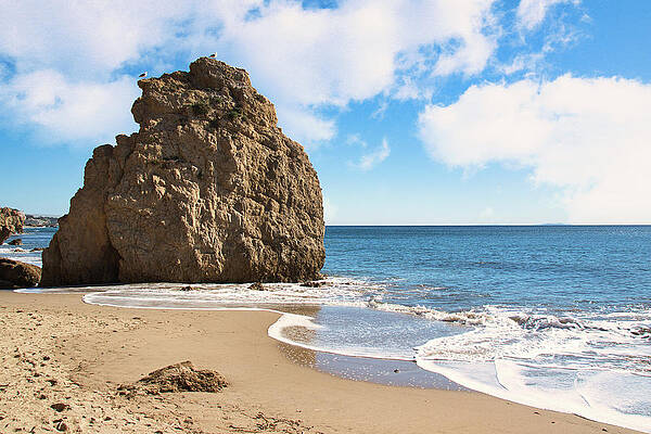 Wall Art featuring the photograph Birds On The Rock At El Matador State Beach by Matthew DeGrushe