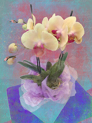 Wall Art featuring the photograph Birthday Orchids by Carol Whaley Addassi
