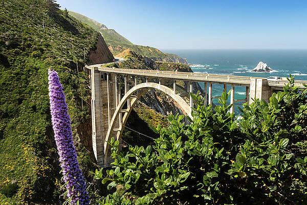 California Wall Art featuring the photograph Bixby Bridge by Craig A Walker