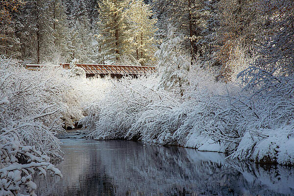 Beautiful Wall Art featuring the photograph Bizz Bridge Snowy Morning by Mike Lee