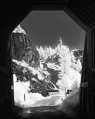 Moody Wall Art featuring the photograph Bizz Tunnel View Infrared by Mike Lee