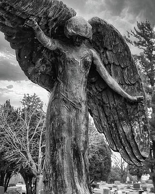 Photograph - Black Angel by Robert Allen Hill