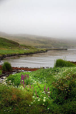 Nature Photograph - Black Ball Harbour Pointy End by Mark Callanan