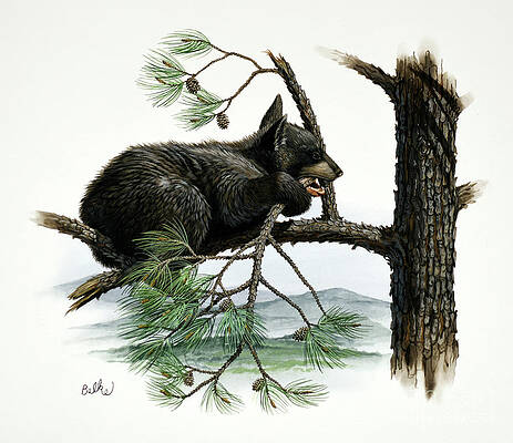 Tree Painting - Black Bear Cub by Don Balke