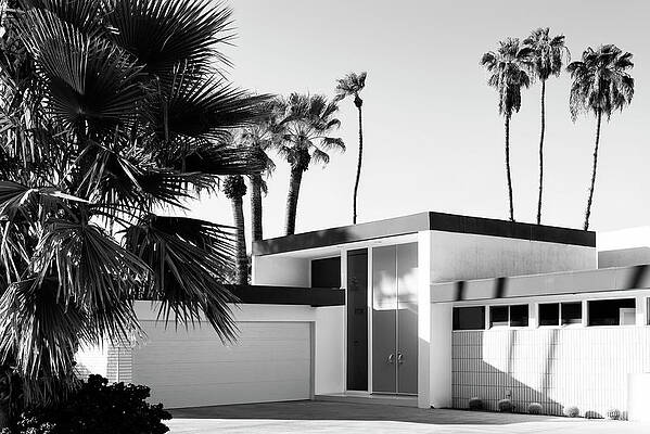 Collection Wall Art featuring the photograph Black California Series - Palm Springs House by Philippe HUGONNARD